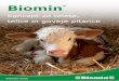 koncept za teleta, telice in goveje pitance · Biomin ® koncept za teleta, telice in goveje pitance Ca/P-razmerje mineralne snovi Vitamini elementi v sledeh probiotiki Biomin® P.E.P