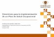 Directrices para la implementación de un Plan de Salud Ocupacional³n-sra.-paulina... · 2016-03-17 · Directrices para la implementación de un Plan de Salud Ocupacional Paulina