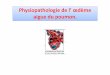 Physiopathologie de l’ œdème aigue du poumonuniv.ency-education.com/uploads/1/3/1/0/13102001/... · 2018-09-07 · augmentation de la pression hydrostatique des capillaire pulmonaire