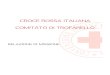CROCE ROSSA ITALIANA COMITATO DI TROFARELLOfondamentali del Movimento Internazionale di Croce Rossa e Mezzaluna Rossa e la risposta ai bisogni del territorio Trofarellese. Essendo