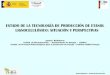 Presentación de PowerPoint · 2015-12-02 · Ignacio Ballesteros – Unidad de Biocarburantes 1.Política europea de promoción de biocarburantes 6 Directiva 2009/28/CE, del Parlamento