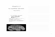Chapitre 2 Le système nerveux - Robert Rigal · N. emboliforme N. dentelé Formation réticulée Lemnisque médian N. fastigial N. globuleux 4e ventricule Cortex cérébelleux Noyaux