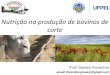Nutrição na produção de bovinos de corte · 2018-06-28 · Importância da pastagem cultivada na produção da pecuária de corte brasileira Nestas áreas, considerando-se somente