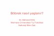 Dr. Mehmet KOÇ Marmara Üniversitesi Tıp Fakültesi ... · fizyolojik değişiklikler olarak da tanımlanabilir. •Epidemiyolojide, istatistiki anlamda olağanın (normalin) dışında