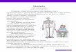 Skelets - alausa.orgalausa.org/files/macibu-materiali/B2 - Skelets - Viss - K.pdf · 3. Pētījums - cilvēka anatomija - 6. uzdevums Runāšana 1. Skolēni sadalās pāros. Viens