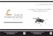 Grupo de Ecología de Insectos · 2013-04-19 · Anotaciones Aspectos básicos de la biología de Vespula germanica Las "chaquetas amarillas" son avispas sociales pertenecientes al