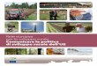 Rete europea per lo sviluppo rurale Comunicare la …enrd.ec.europa.eu/enrd-static/fms/pdf/AAB67D2E-DB02-59CA...1. Comunicare la politica di sviluppo rurale dell’UE 2 2. Strategie