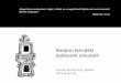 Balaton-felvidéki építészeti útmutató útmutató_VM.pdfa Balaton-felvidéki építészet sajátosságainak a bemutatása és népszerűsítése a helyes részletképzések bemutatása