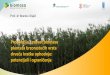 Prof. dr Branko Stajić - Biomasabiomasa.undp.org.rs/wp-content/uploads/2018/12/Energetski-zasadi... · Produkcija biomase u drugom produkcionom periodu (ophodnji) je većaod prinosa
