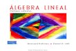 Algebra Lineal. 8va Ed. - ...Traducción autorizada de la edición en idioma inglés, titulada Introductory linear algebra: an applied first course 8a ed., de Bernard Kolman y David
