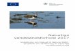 Naturlige vandstandsforhold 2017 · udpegede Natura 2000-arealer til hydrologi. 2. Projektarealet må ikke omfatte arealer med skov eller være beliggende i skov, herunder brandbælter