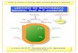 LEZIONI DI BIOCHIMICA Docente: Prof D.F.Condorelli · 2012-01-17 · protein chinasiche nella regolazione della glicogenolisi 11. Le attività della glicogeno sintasi e della glicogeno