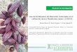 Uso de fertilizantes de liberación controlada en el cultivo de cacao … · 2019-10-25 · Título de la Investigación Uso de fertilizantes de liberación controlada en el cultivo