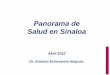 Panorama de Salud en Sinaloa - CODESIN MXcodesin.mx/wp-content/uploads/2014/09/02_presentacion...paludismo, rikketsiosis, alacranismo etc. • Controlar el incremento que mantienen