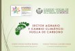 SECTOR AGRARIO Y CAMBIO CLIMÁTICO: HUELLA …conagronomos2018.com/uploads/app/413/elements/file/file...Huella de Carbono Huella de carbono = Dato Actividad x Factor Emisión Los GEI