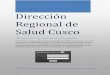 Dirección Regional de Salud Cusco · Hmailserver en versión 5.4, con dominio web diresacusco.gob.pe, subdominio correo.diresacusco.gob.pe y tiene 3 formas de conexión o clientes: