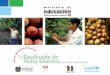 LaRecolección de Frutos Silvestres - PROEIB Andesbvirtual.proeibandes.org/bvirtual/eibamaz/moseten/rec... · 2015-10-09 · En el territorio de Pilón Lajas, la recolección de frutos