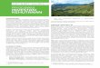 PROGRAM InVeStaSI KeHUtanan...1 Forest Investment Program – World Bank Project Information Document, Concept Stage 2 Ibid iklim dan mengurangi deforestasi di negara-negara berkembang3
