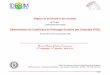 Détermination du Coefficient de Polissage Accéléré des Granulats (PSV)EAPIC... · 2011-10-24 · .i.c. – Rapport 7.1.11 Page 1 Rapport de présentation des résultats N° 7-1-011