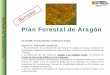 Plan Forestal de Aragón - Home | Aragón Participaaragonparticipa.aragon.es/sites/default/files/presentacion_dg-forestal.pdf · El ESQUEMA DIRECTOR establece el marco de la nueva