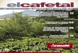 13 eficiencia de fungicidas sistémicos contra la roya del ...demo.anacafe.org/uploads/file/82c153cec3d44cf3a24103b4f0f7c2b4/El-Ca... · banda de fertilización, en cafetales en producción