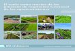 El suelo como reactor de los procesos de regulación funcional de los agroecosistemasorgprints.org/34761/1/faggioli-symanczik-2018-El-suelo... · 2019-02-28 · 88 Resumen Los hongos