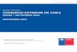 COMERCIO EXTERIOR DE CHILE · que estos mercados representaron el 93% del comercio exterior de Chile con el mundo, el 94% de las exportaciones y el 92% de las importaciones. A su