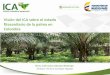 Visión del ICA sobre el estado fitosanitario de la palma en Colombiaweb.fedepalma.org/sites/default/files/files/Cenipalma/... · 2017-09-28 · implementar en las diferentes zonas
