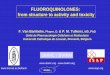 FLUOROQUINOLONES: from structure to activity and toxicity · FLUOROQUINOLONES: from structure to activity and toxicity F. Van Bambeke, Pharm. D. & P. M. Tulkens, MD, PhD Unité de