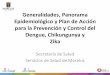 Generalidades, Panorama Epidemiológico y Plan de …...Generalidades, Panorama Epidemiológico y Plan de Acción para la Prevención y Control del Dengue, Chikungunya y Zika Secretaría