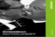 Schwarzbuch Autolobby | Greenpeace · 2016-04-15 · Michael Jansen Peter Fischer Reinhold Kopp. Schwarzbuch Autolobby | Seitenwechsler 7 Als die europäischen Umweltminister 1995