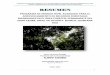 PROGRAMA DE MANEJO NIVEL AVANZADO PARA EL APROVECHAMIENTO … · programa de manejo nivel avanzado para el aprovechamiento de recursos forestales maderables en el Área forestal permanente