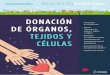 do TRIMESTRE 2018 DONACIÓN DE ÓRGANOS, TEJIDOS Y · En Argentina hay miles de personas que esperan un trasplante de órganos y tejidos para mejorar su calidad de vida o seguir viviendo