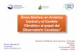 Áreas Marinas en América Central y el Cambio Climático: el ...conferencias.cepal.org/seminario_resiliencia/Martes 3/Pdf/Alvaro Morales.pdf · Las ciencias básicas continúan siendo