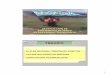 Argentina - presentation · 1 destrucciÓn de existencias de minas antipersonal en depÓsito repÚblica argentina temario •el plan nacional: principales aspectos •las destrucciones