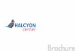 Brochure Halcyon sin team · Ya no hay barreras en el mundo de los negocios y quien responde más rápidamente a los cambios mejora su rentabilidad. En Halcyon ayudamos a los equipos