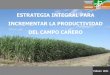 ESTRATEGIA INTEGRAL PARA INCREMENTAR LA …conadesuca.gob.mx/foro Jalisco/Estrategia integral.pdf · 2011-02-21 · a) Adquisición e instalación de sistemas de riego tecnificados