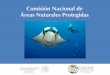 Comisión Nacional de Áreas Naturales Protegidas · Áreas Naturales Protegidas de México . En el año 2030 el turismo dentro de las ANP asegura la conservación y el aprovechamiento