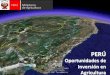 PowerPoint Presentation · Majes Il Alto Piura Olmos Puyango-Tumbes Chinecas Pampas de Concón Topará Extensión de terrenos / Land size 18 ha 38 500 ha 50 000 ha 41 000 ha ... Alcachofa