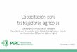 Capacitación para trabajadores agrícolascitrusagents.ifas.ufl.edu/wps/pdf/new/PERC-WPS-training-workers-Spanish.pdf · Capacitación para la seguridad de lo. s trabajadores agrícolas