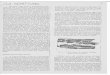Stampa di fax a pagina intera - gruppiarcheologici.org · eccesgo rispctto al foneuco etrusco, mcnrrc, parte, mancavano greco alcuni sunni dclla lingua Quc5tO provocò, in una inizi:de