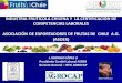 INDUSTRIA FRUTÍCOLA CHILENA Y LA CERTIFICACIÓN DE ... · industria frutÍcola chilena y la certificaciÓn de competencias laborales asociaciÓn de exportadores de frutas de chile