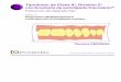 Protocolo de Aparato Fijo - Ortocervera Cursos de Ortodonciaortocervera.com/wp-content/uploads/2017/03/... · • Guía Incisiva • Oclusión Molar • Espacios de Extracción •