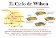 El Ciclo de Wilson - Universidad de Sonora · •La producción de nueva corteza oceánica es balanceada por la destrucción de ésta en las zonas de subducción •Al aumentar la