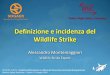 Definizione e incidenza del Wildlife Strike · 2019-08-22 · Definizione e incidenza del Wildlife Strike Alessandro Montemaggiori Wildlife Strike Expert WILDLIFE STRIKE : Incidenza