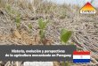 Historia, evolución y perspectivas de la agricultura ...capeco.org.py/wp-content/uploads/2017/08/Cubilla-LE-Paraguay-Bella-Vista-Raúl-Peña...Si es este tipo de agricultura con arado,