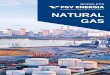 NATURAL GAS - FGV Energiaof this, after identifying where we stand and what do we want to reach and , what we can achieve. Thus, the primary goal of this work was to survey the major