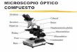 MICROSCOPIO ÓPTICO COMPUESTO · 2016-03-29 · MANEJO DEL MICROSCOPIO No poner la preparación al revés Regular la luz a intensidad media Ajustar condensador y diafragma al medio