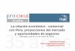 La relación económico - comercial con Perú, proyecciones ...Inversión recíproca Inversión chilena materializada en Perú Desde 1990 a diciembre de 2009 es casi de US$ 8.200 millones,