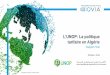 LUNOP: La politiquebdd.unop-dz.org/Etude IQVIA_Version Publique_250219-11h50.pdfPIROXICAM Feldene ... Algeria has the highest sales as well as SU per capita 1. Value Sales USD Mn ,
